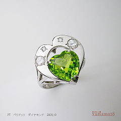 pt-peri-dia-ring-09.10