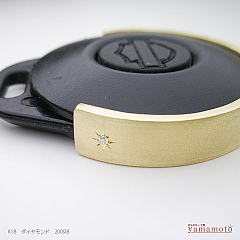 k18-dia-key-09.8