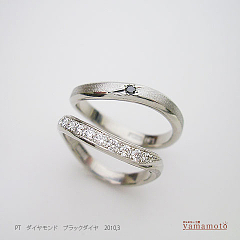 pt-dia-Bdia-ring-100313