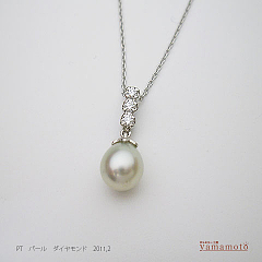 pt-pearl-pen-110217