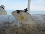 IMG_0085