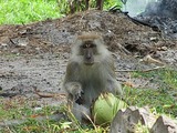IMG_0145