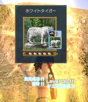 ホワイトタイガー.jpg