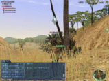 カメレオン.gif