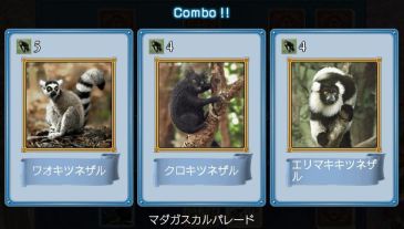論戦サルコンボ.jpg