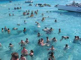 04_20061220stingrayCity