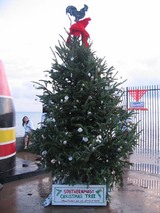 20061217southernmosttree