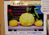 oniyuzu2