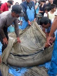 jibiki2009-4