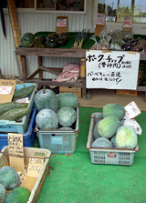 meatkaneko3