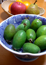 feijoa