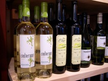 mambodega-3