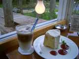 shozo1