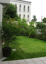 kugenumashimizu9