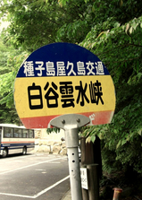 shiratani11