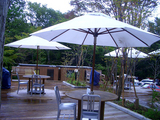 shozo5