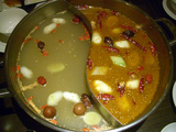 tenshan2