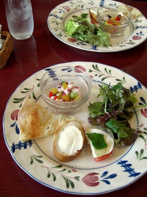 PALMARE-1