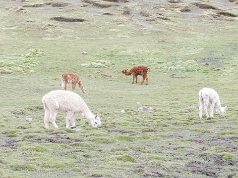 P1020459