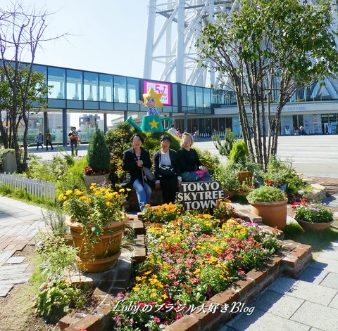 skytree5