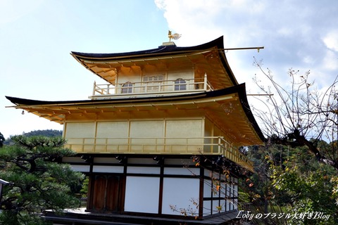 kinkakuji03