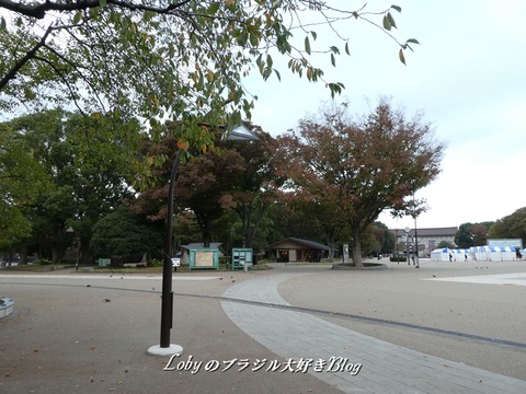 上野公園1a