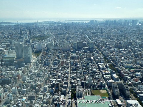 skytree7a-vista