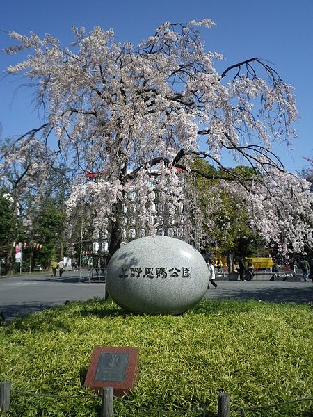 450px-UenoOnshiKoen20120407