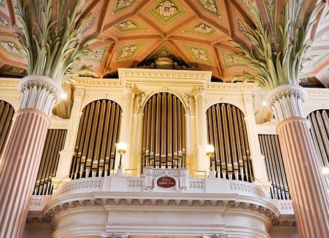 organ