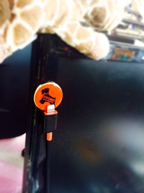 写真 3