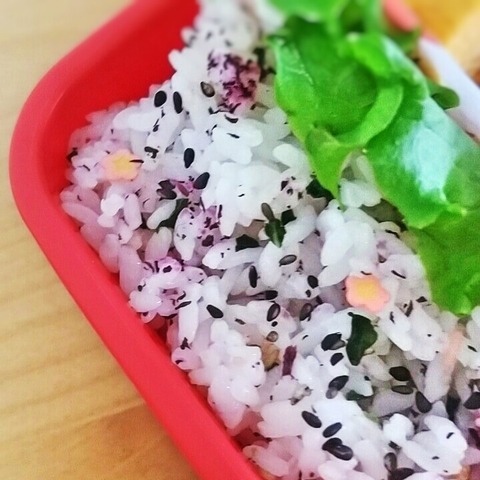 Fotor_149756544170394