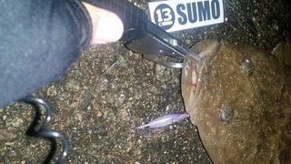 no087_2_20170506_R