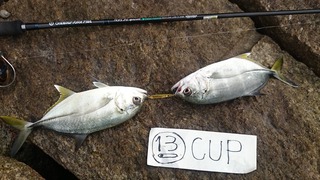 __double__GGCC2015-16_no032_20151206