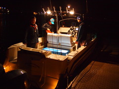 P6260845