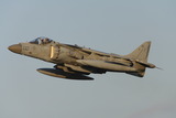 av81