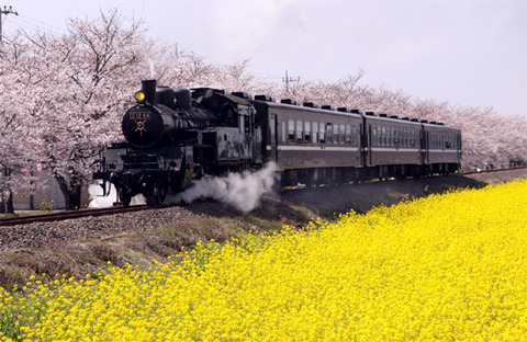 oka