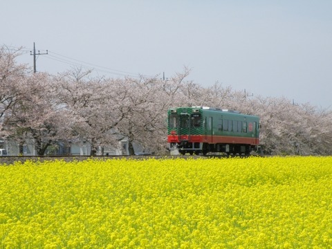 moooka