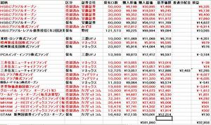 tousin20091105