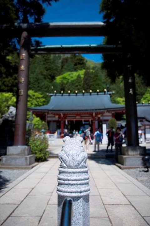 DSC_0524 のコピー