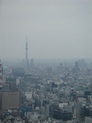 霞の奥にスカイツリー