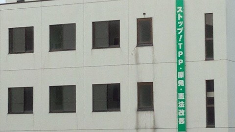 べきたんとそらちゅんお散歩663
