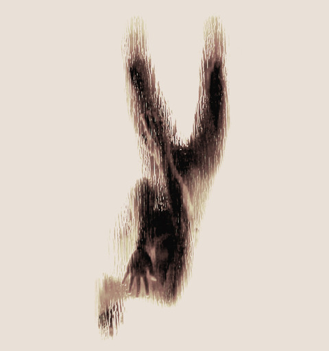 はだか24