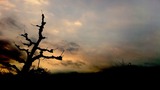 IMG_0692