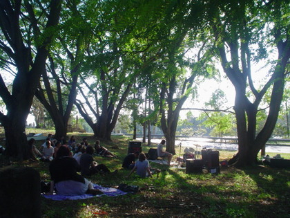 DSC03341