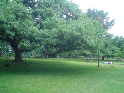 DSC04090