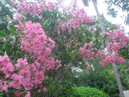 DSC04084