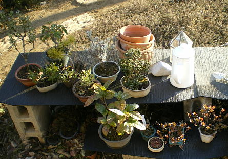PHOTO2