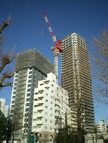 PHOTO2