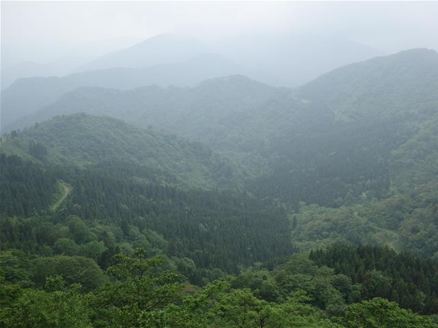 0669d480.jpg (640×480)