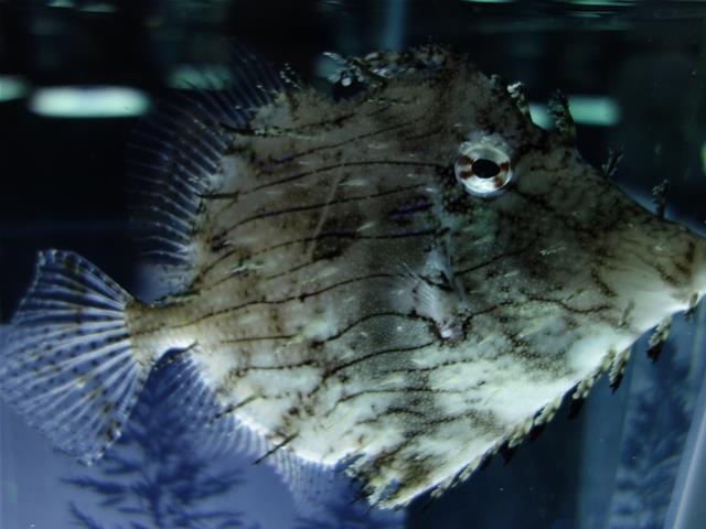18d8ede2.jpg (640×480)